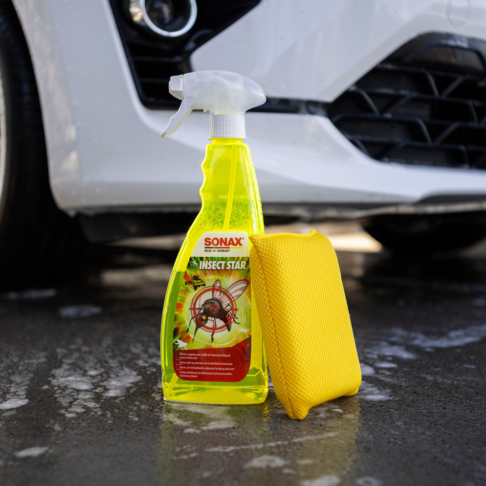 Insect Star + Bug & Tar sponge