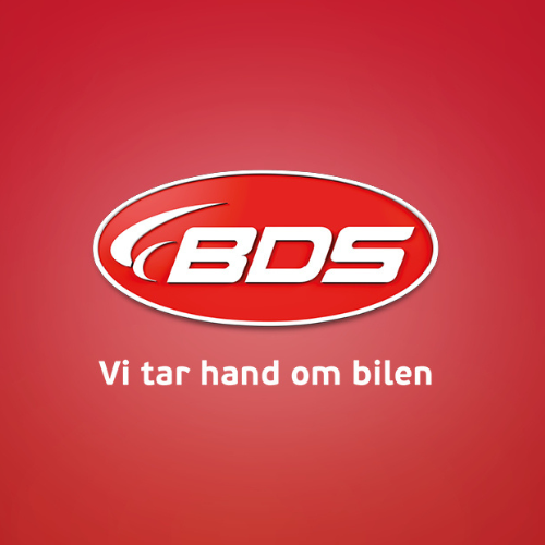 BDS logo